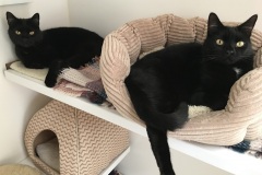 Chuck & Vinnie