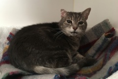 Ella