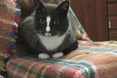 Freddie