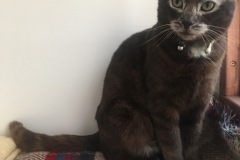 Bruce