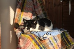 Smudge