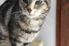 Mia