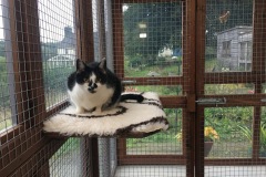 Smudge