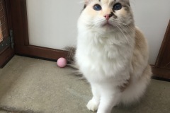 Little One