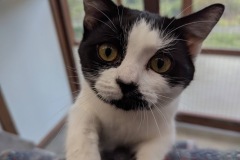 Luna