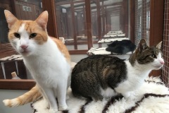 Mika & Schumi