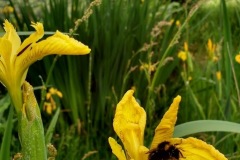 IMG_20190602_171357643_HDR